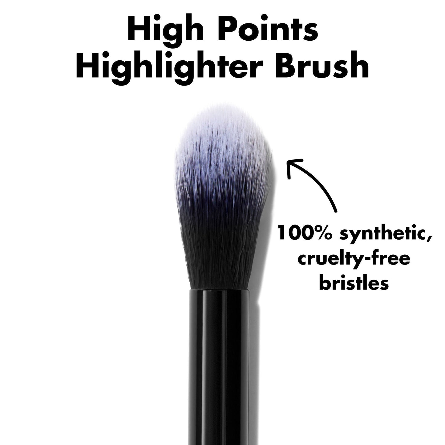 high-points-highlighter-brush-q1 0226_EDU_HighpointsHighlighterBrush_ProductDetail.jpg
