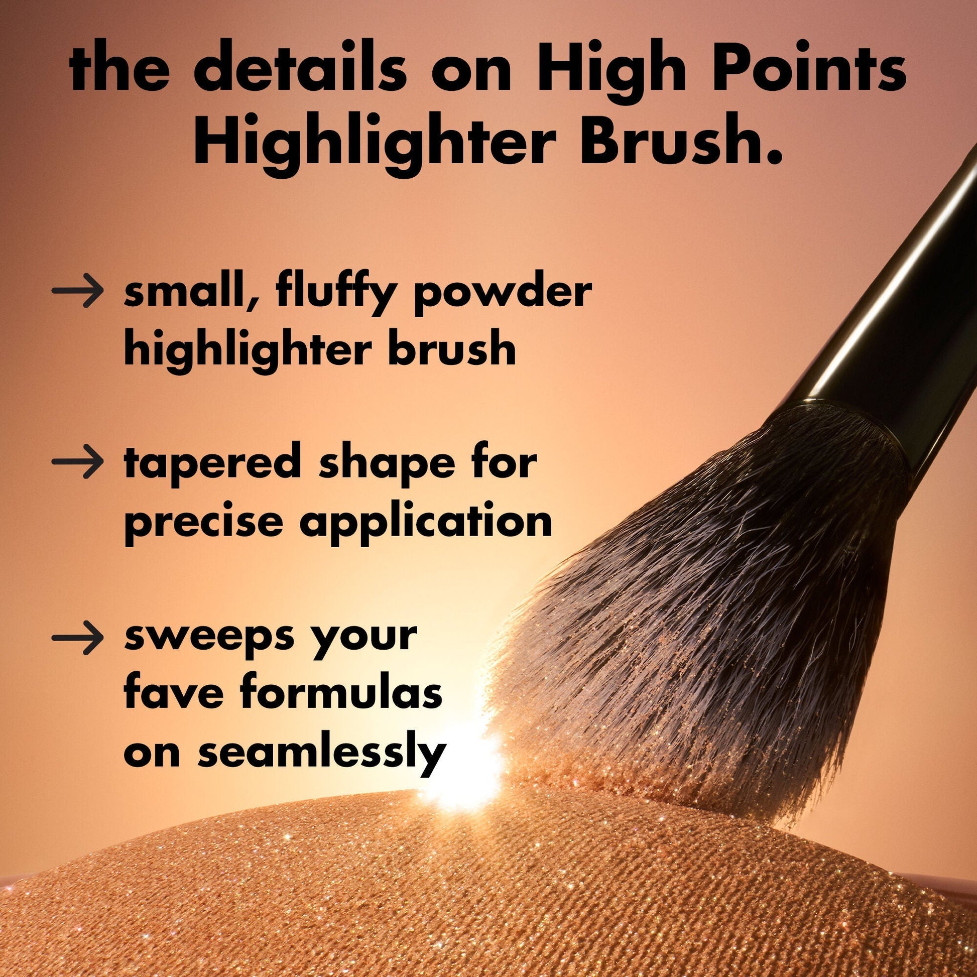 high-points-highlighter-brush-q1 0226_EDU_HighpointsHighlighterBrush_Details.jpg