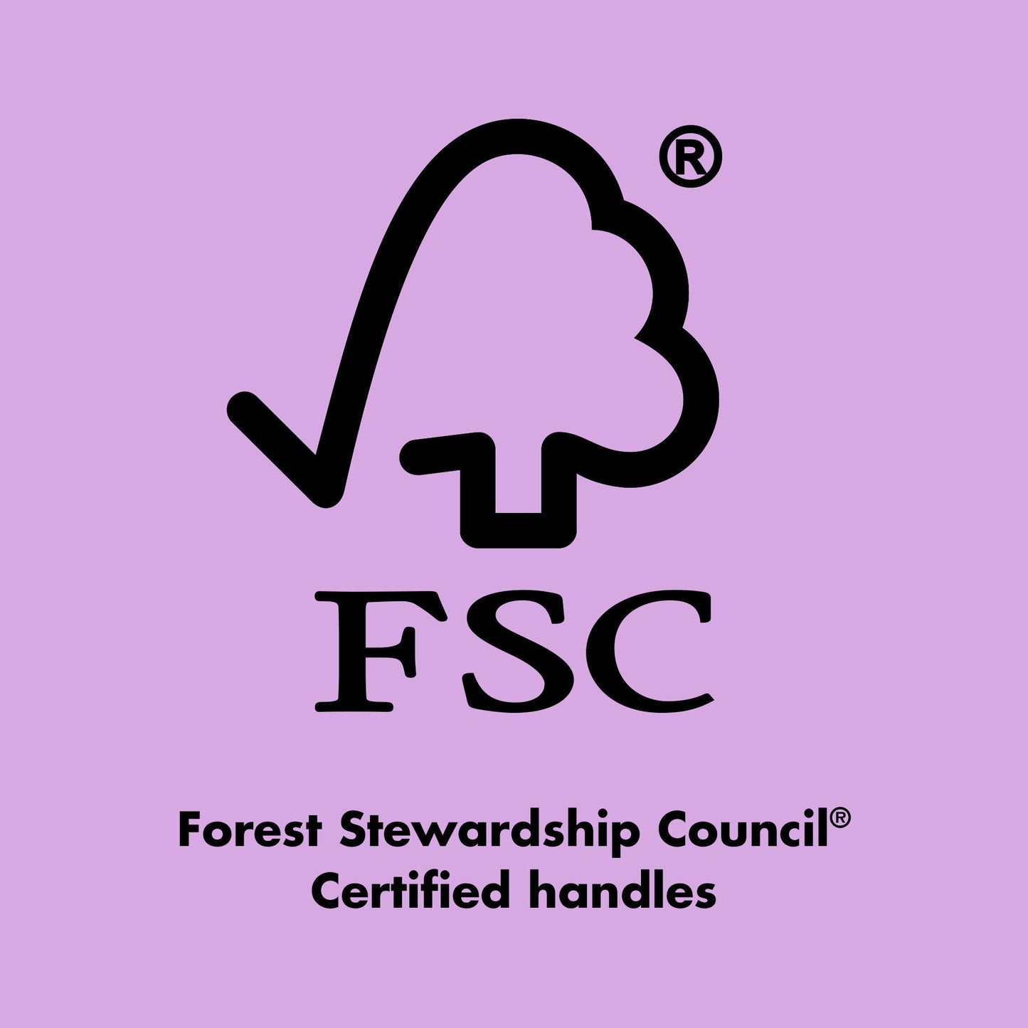 ten-out-of-ten-brush-kit-q0 0423_EDUCATION_FSC_EVERGREEN.jpg