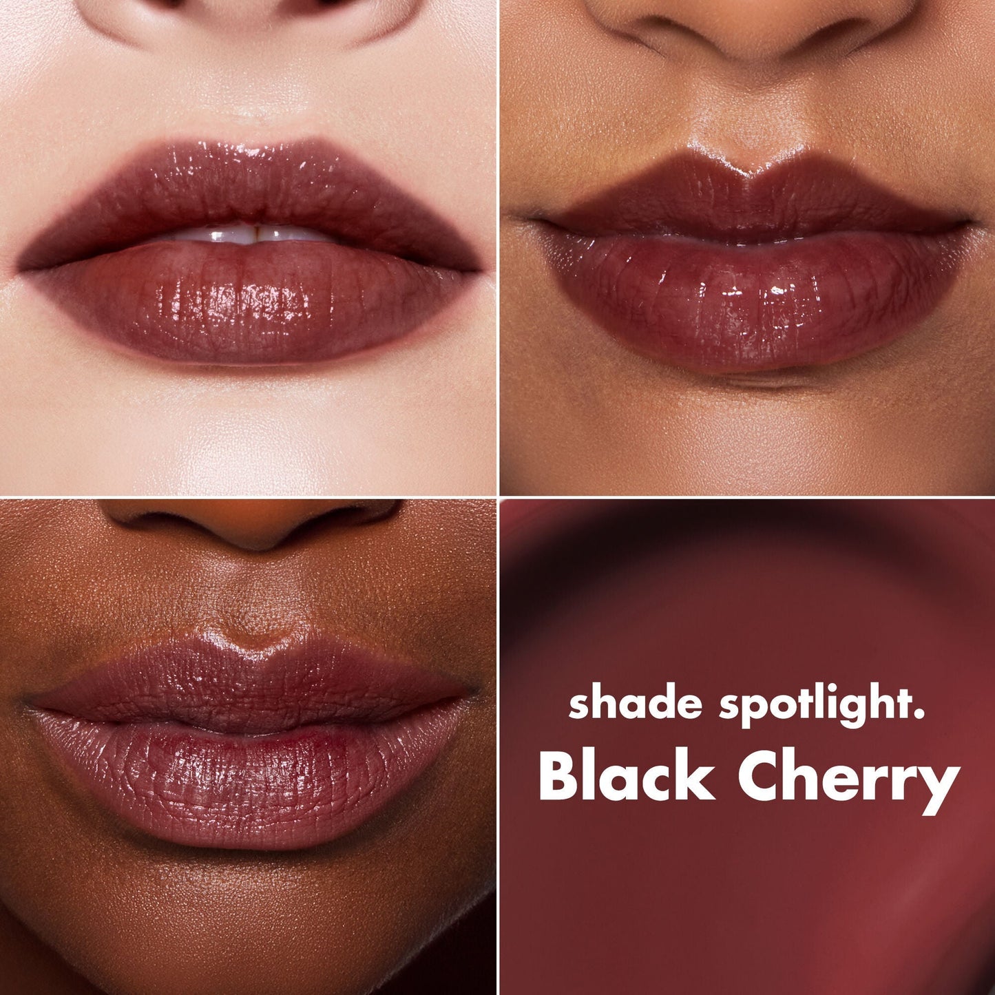 lip-lacquer-d3 0426_EDU_LipLaquer_ShadeChart_BlackCherry.jpg