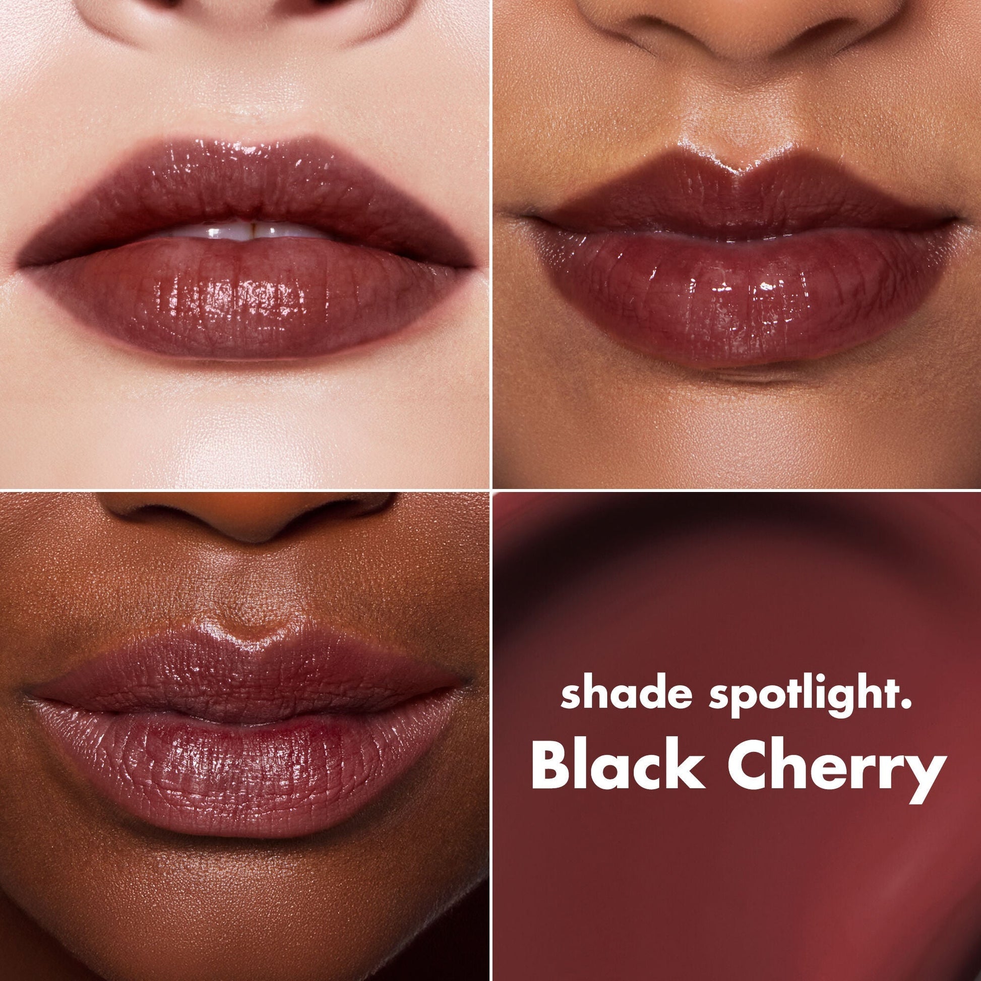 lip-lacquer-d3 0426_EDU_LipLaquer_ShadeChart_BlackCherry.jpg