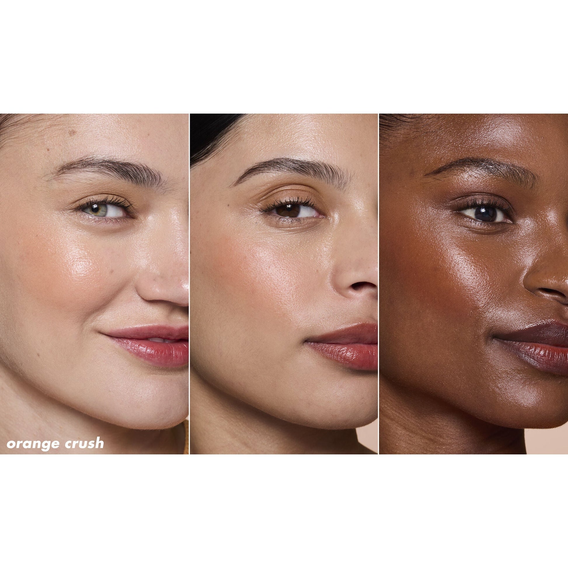 sheer-lip-combo-e2 82321_SHEER-FOR-IT-BLUSH-TINT_ORANGE-CRUSH_TRIPTYCH_v2.jpg