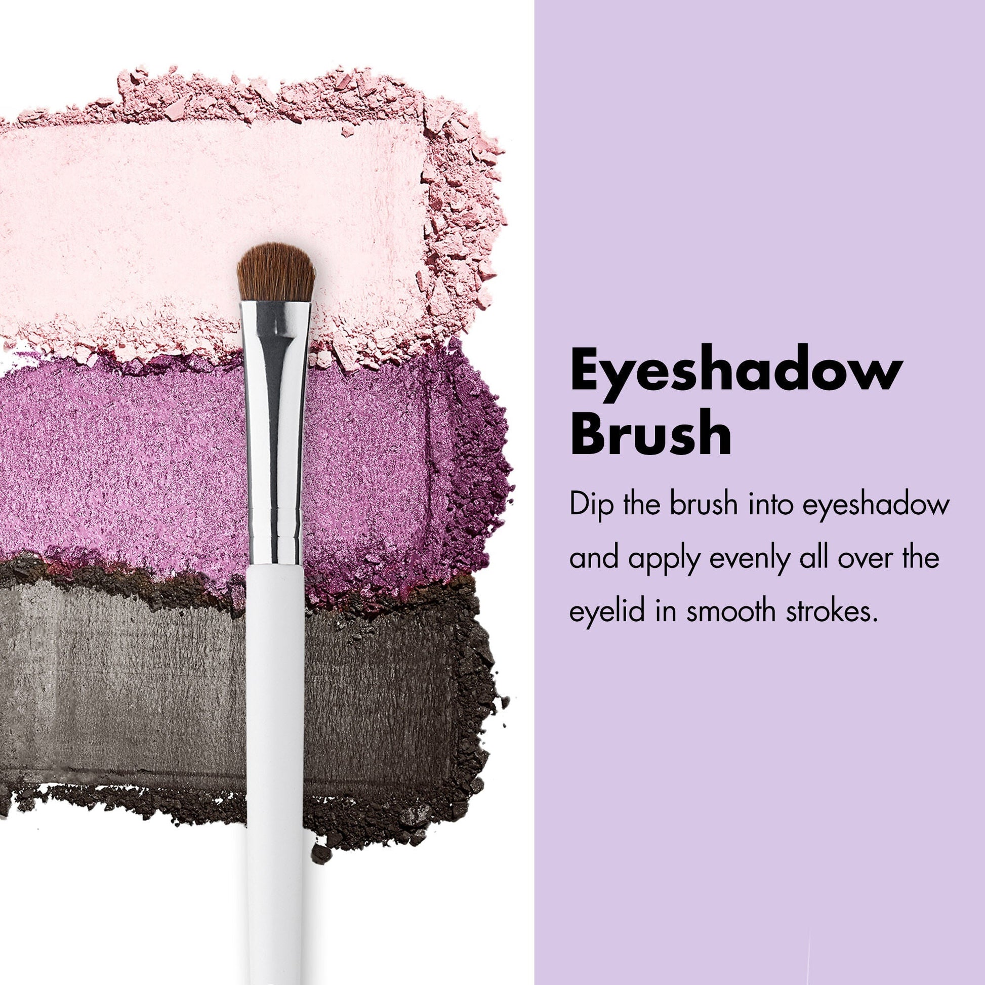 professional-set-of-12-makeup-brushes-a0 ProfessionalBrushes_Eye_EyeshadowBrush_PDP_Edu_2000x2000_2418e3b8-bb65-4e6d-af53-e6d0aab002ae.jpg